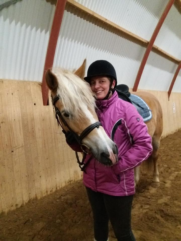 Tyroler Haflinger Luca-Lavanda billede 9