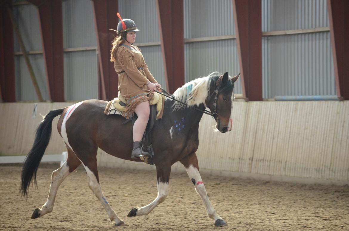 Pinto Elmegårdens Prada - Fastelavnsstævne Hylke 24/02-18 billede 12