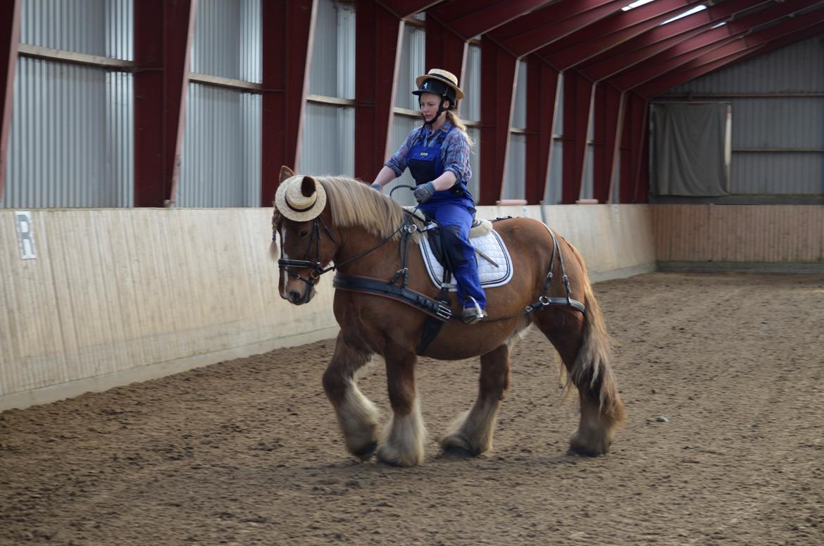 Jyde Thor - Fastelavnsstævne Hylke 24/02-18 billede 6
