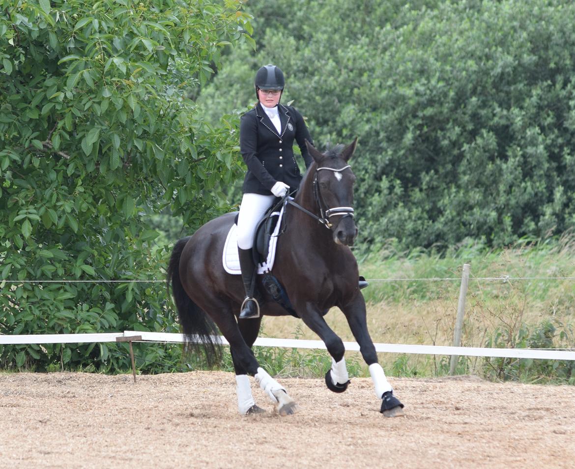 Oldenborg Maggie Tisted - Juni 2017 - Palero Foto billede 18