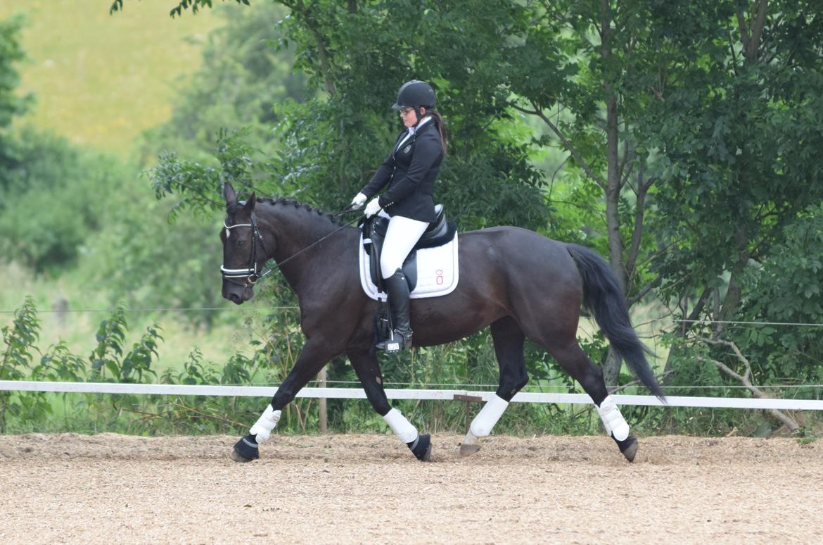 Oldenborg Maggie Tisted - Juni 2017 - Palero Foto billede 19