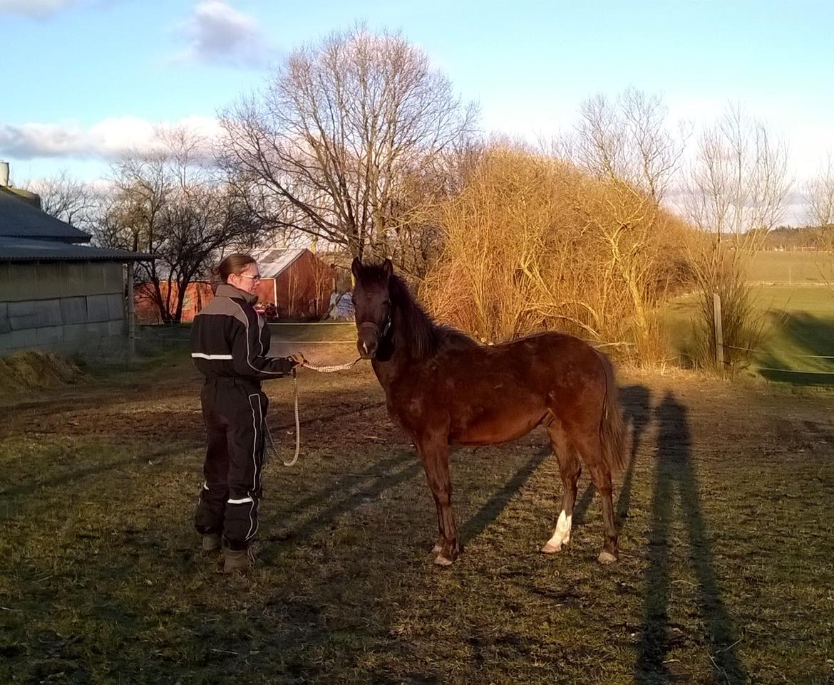 Morgan Edelhof's Sgt. Pepper billede 1