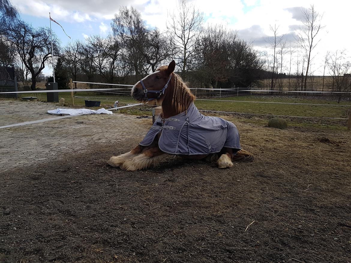 Jyde Helena billede 9