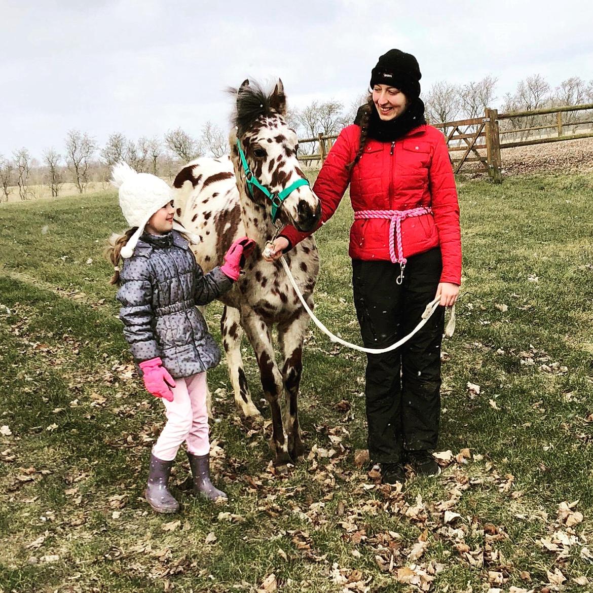 Knabstrupper J.S. Precious Remee - Remee og hans avler´s skønne datter og jeg <3 billede 7