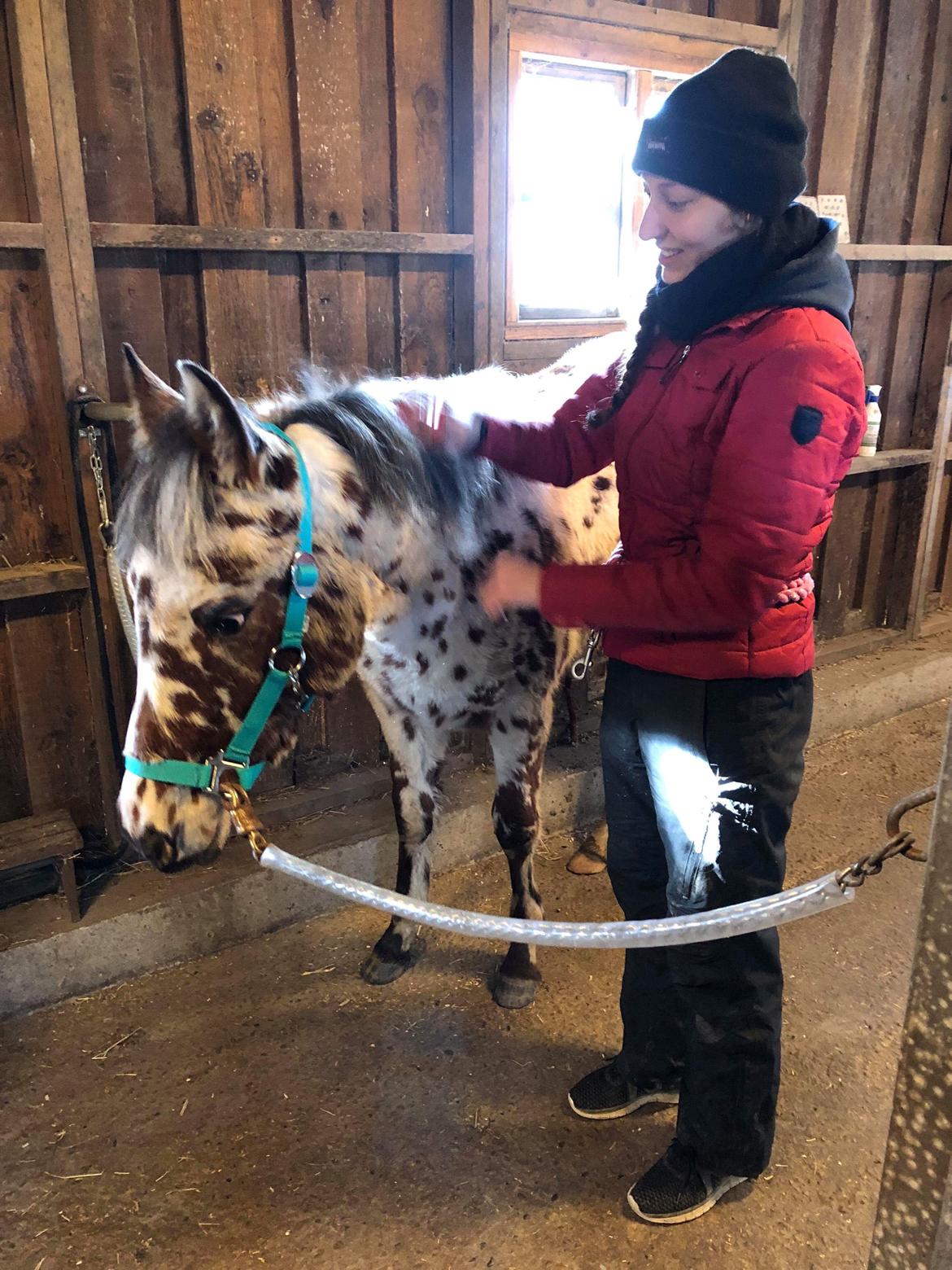 Knabstrupper J.S. Precious Remee - Remee og jeg hygger inden turen går hjem af. <3 billede 8