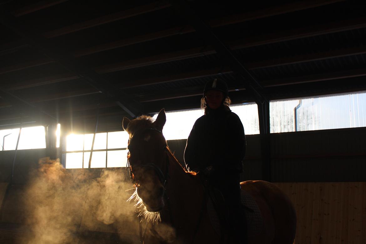 Anden særlig race | UN billede 7