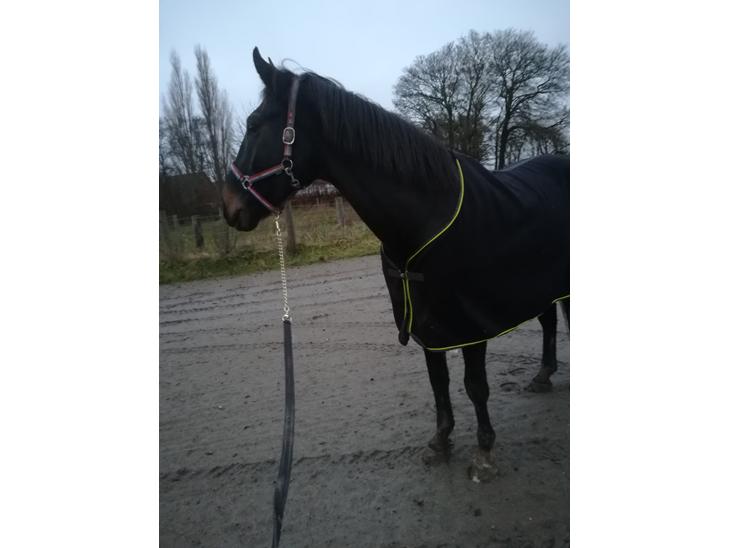 {{currentPhoto.altText}} billede {{currentPhoto.number}}