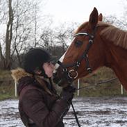 Anden særlig race Østerhedens la luna rossa