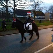 Islænder Fjôla fra Hindø