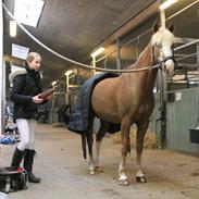 DSP Idskovs Klaus <33