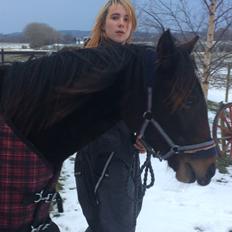 Anden særlig race Nova