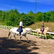 Anden særlig race Luckystar