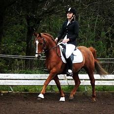 Anden særlig race Forint