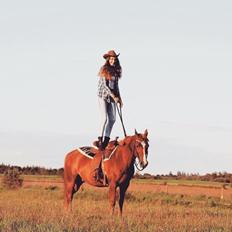 Anden særlig race Forint