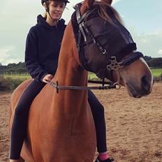 DSP Day-lights charmeur