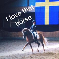 Tysk Sportspony Top Tilas