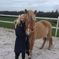 Islænder Sia fra Rivendale