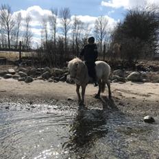 Islænder Jònina fra Isafold 