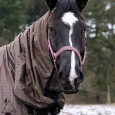 Oldenborg Oline Hedegaard