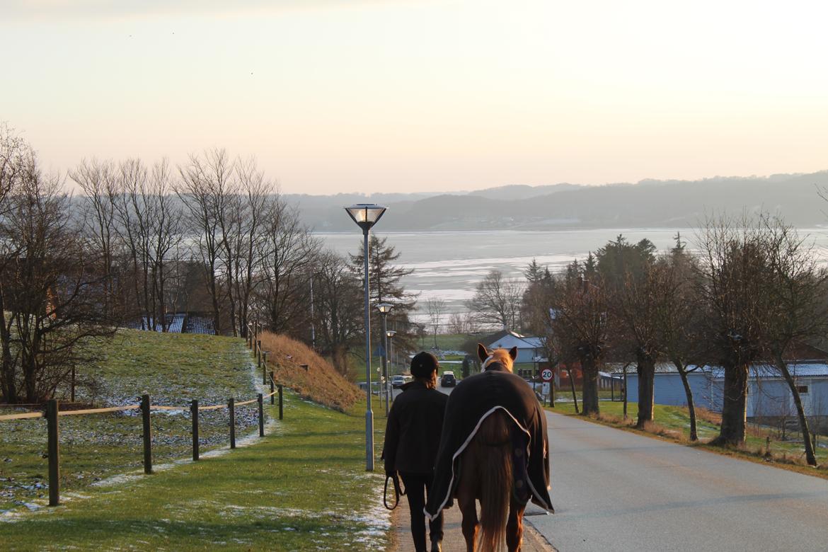 Anden særlig race | UN - Vejlefjordskolen. billede 14