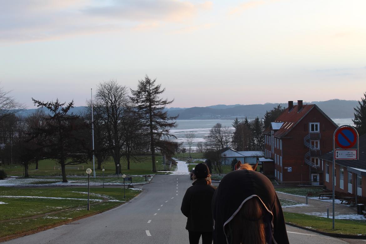 Anden særlig race | UN - Vejlefjordskolen 2018 billede 18