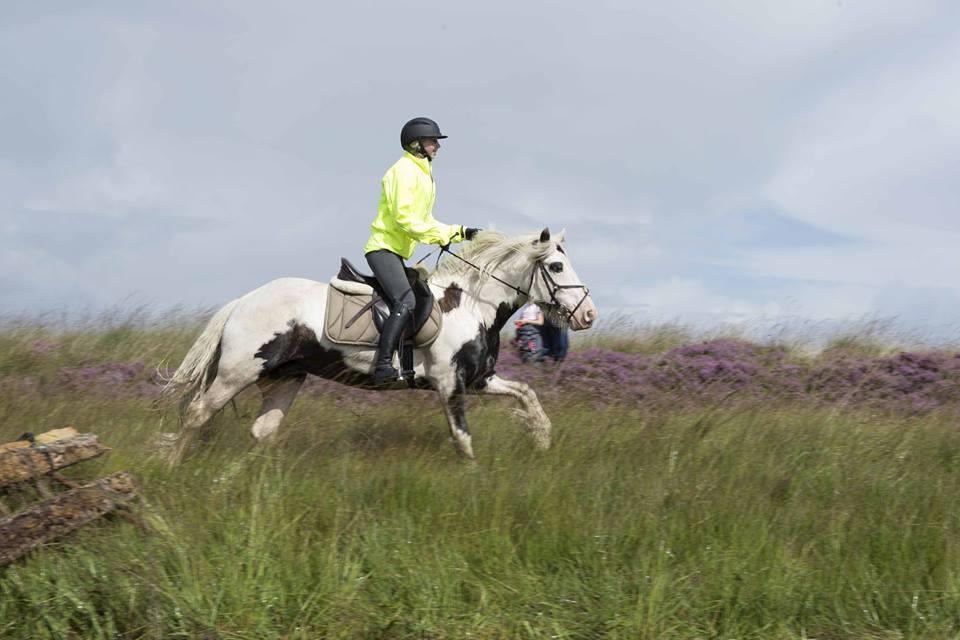 Irish Cob Whiteface (Gypsy) - Part - Jagt/terrænkursus v. Henriette og Rene Kristensen. Foto: Jimmy Leen Friis billede 16