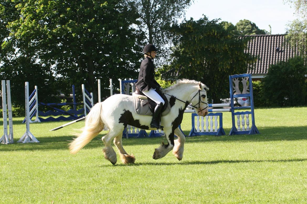 Irish Cob Whiteface (Gypsy) - Part - Dressurstævne - opvarmning Sabro rideklub 17/6-17 billede 17