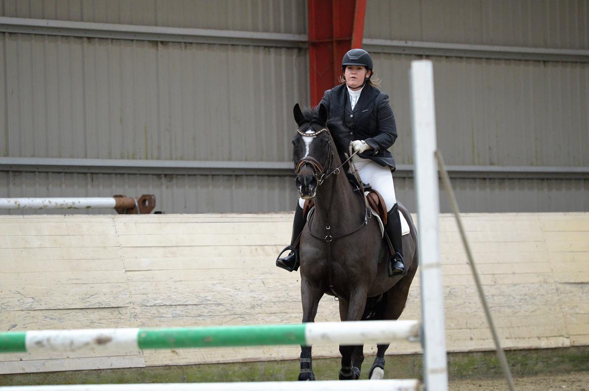 Dansk Varmblod Leana lyngkær billede 19