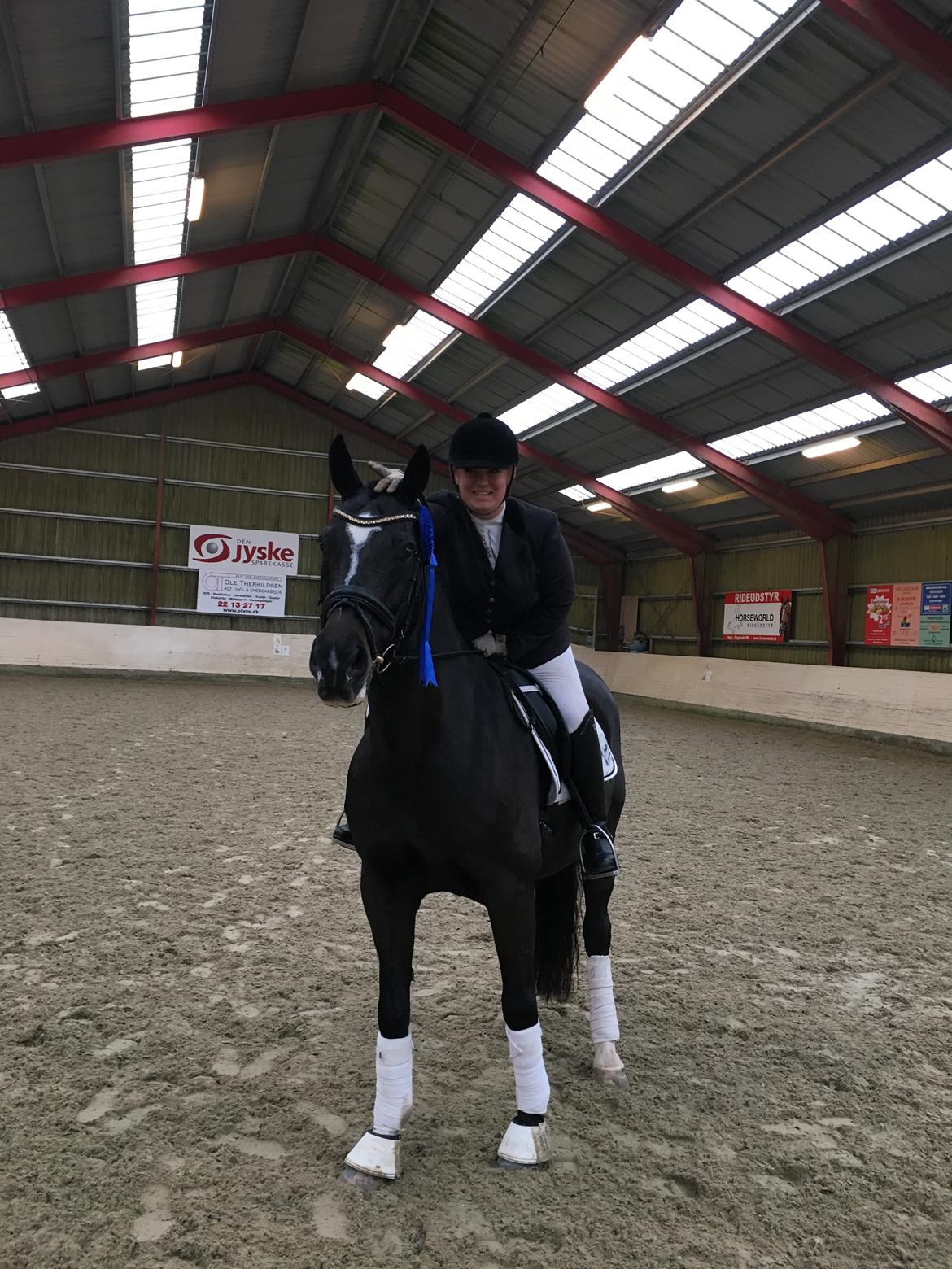 Dansk Varmblod Leana lyngkær billede 10