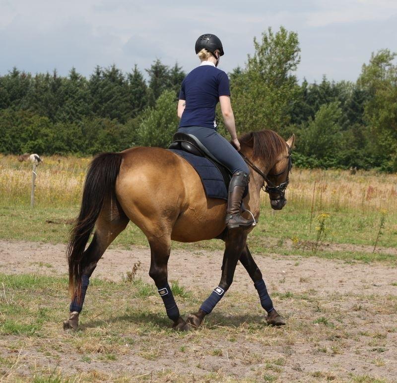 Anden særlig race Roosgårdens Cherie billede 4