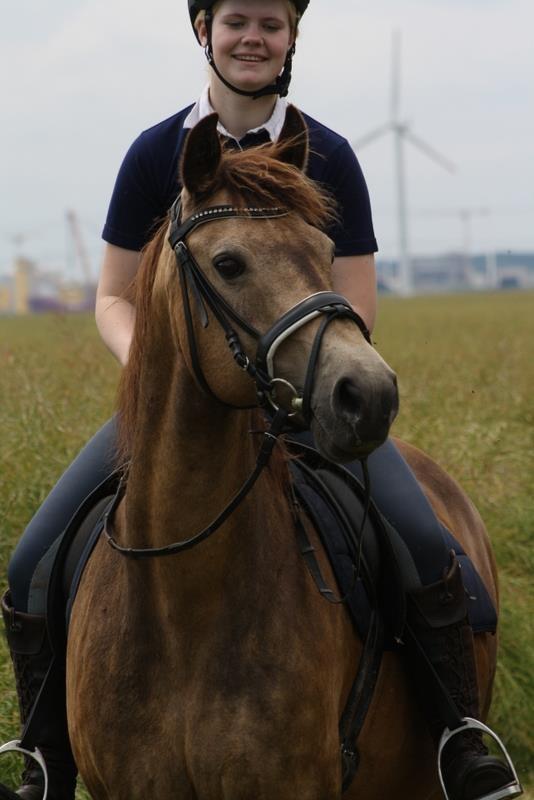 Anden særlig race Roosgårdens Cherie billede 7