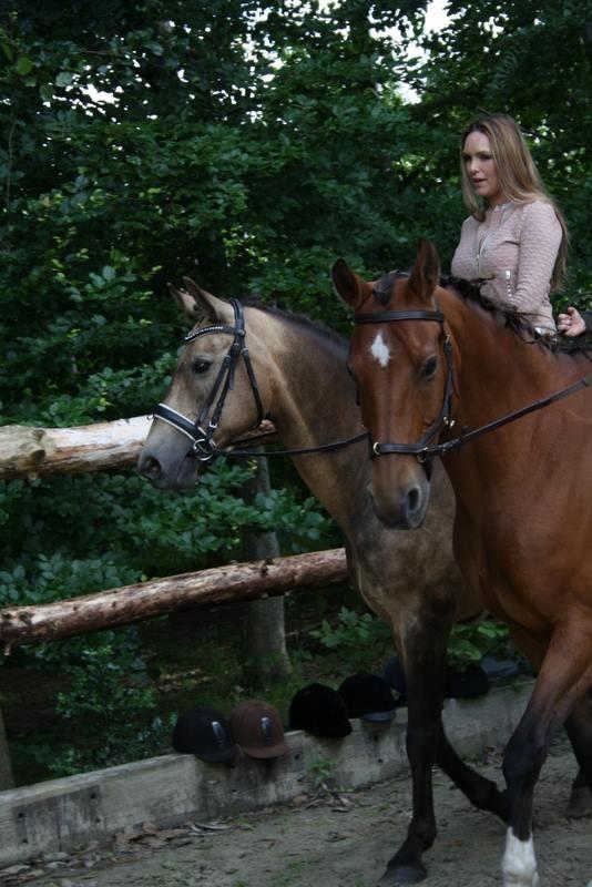 Anden særlig race Roosgårdens Cherie billede 11