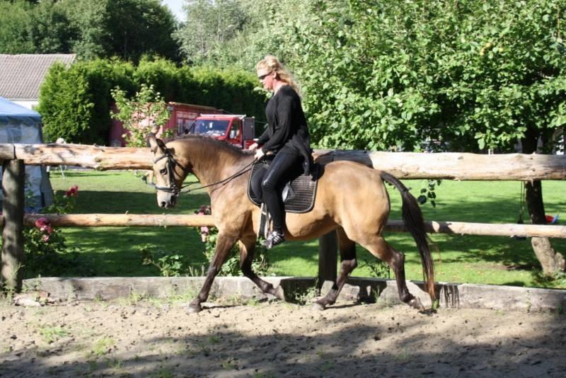 Anden særlig race Roosgårdens Cherie billede 12