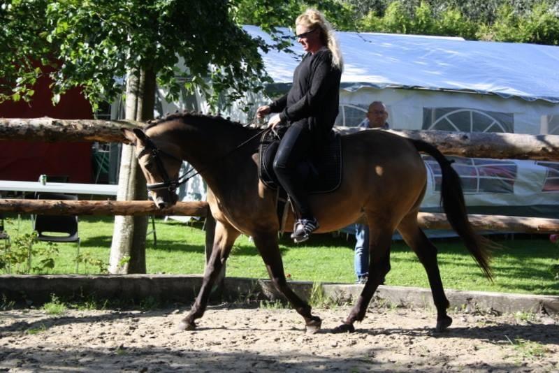 Anden særlig race Roosgårdens Cherie billede 13