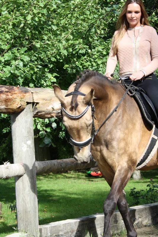 Anden særlig race Roosgårdens Cherie billede 14