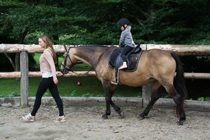 Anden særlig race Roosgårdens Cherie billede 15