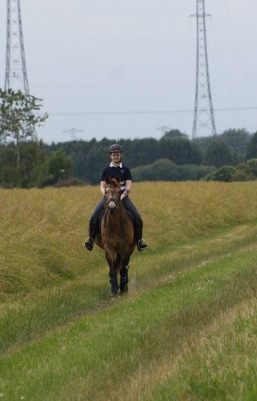 Anden særlig race Roosgårdens Cherie billede 19