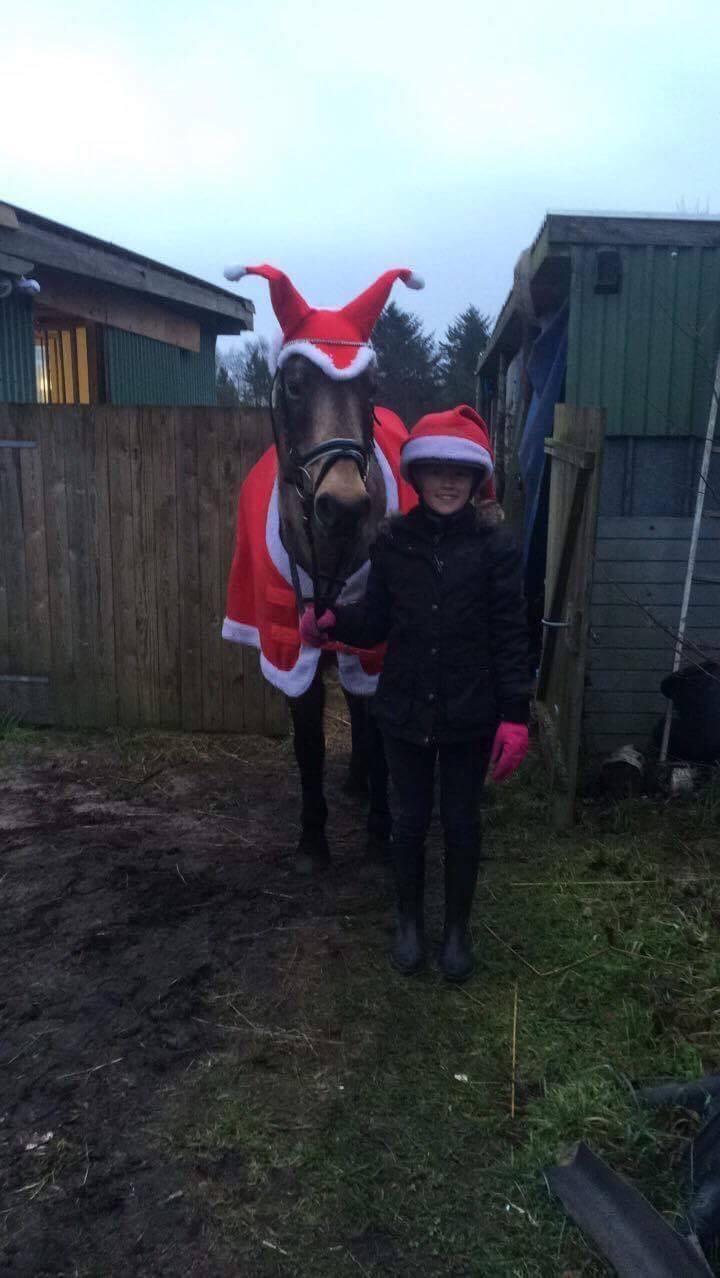 Anden særlig race Roosgårdens Cherie billede 22