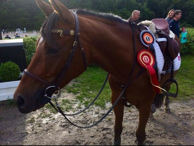 DSP Vigogaard's avatar billede 14