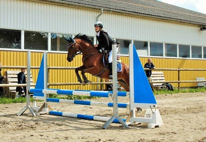 DSP Vigogaard's avatar billede 5