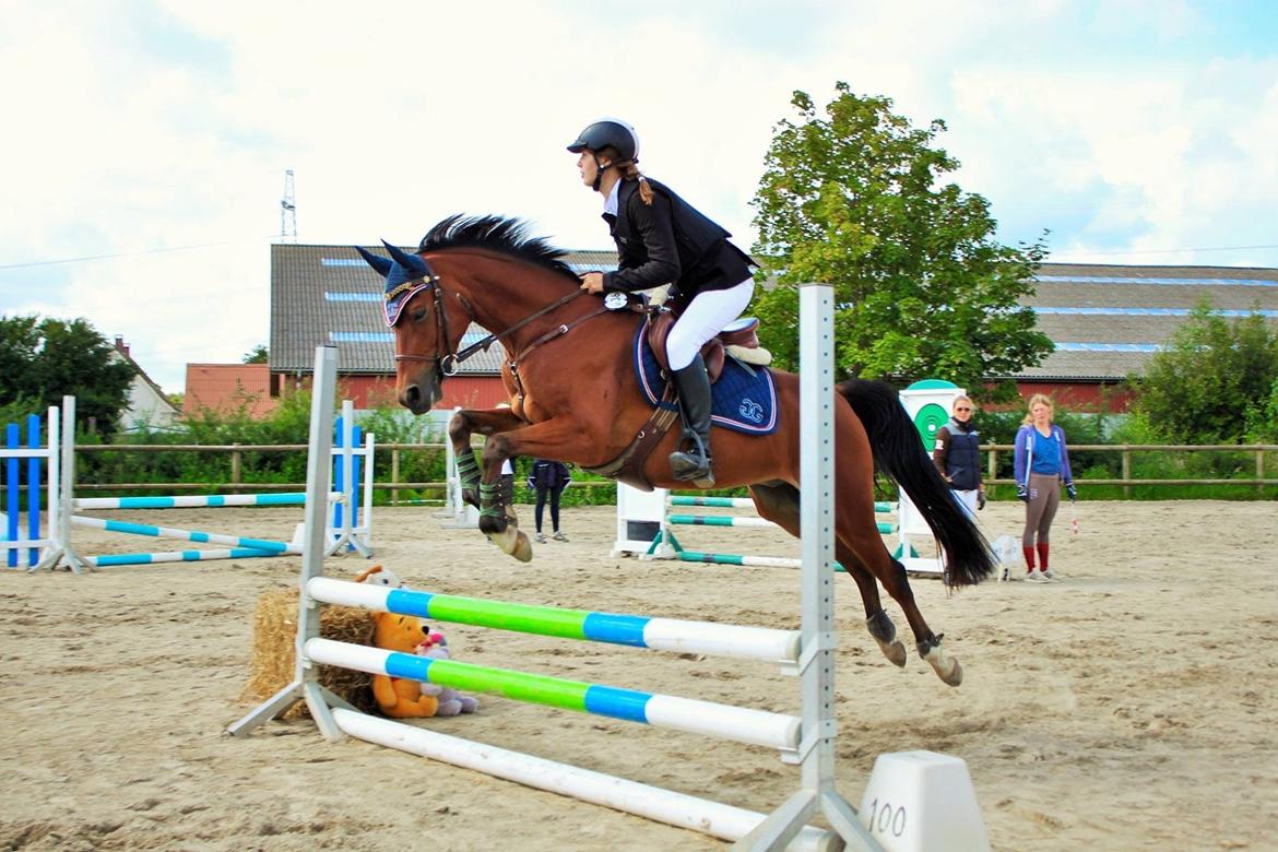 DSP Vigogaard's avatar billede 6