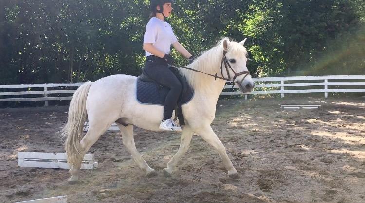 Anden særlig race Luckystar billede 2