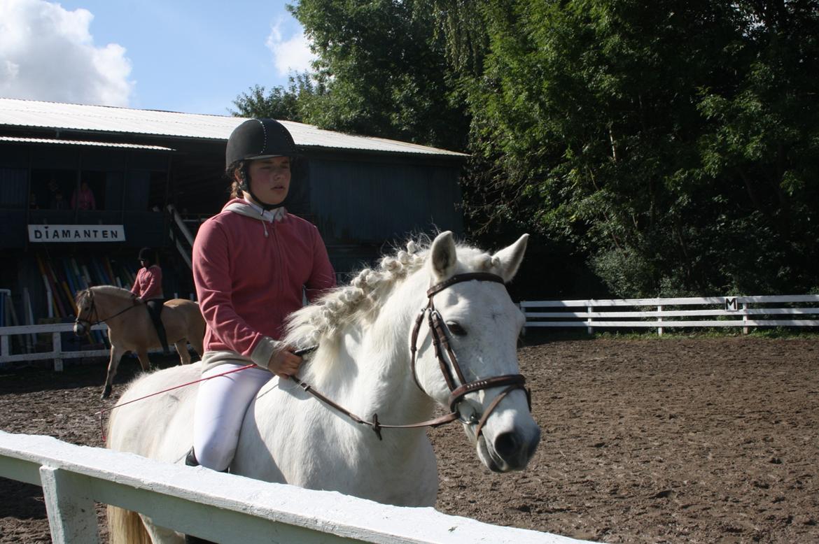 Anden særlig race Luckystar billede 5