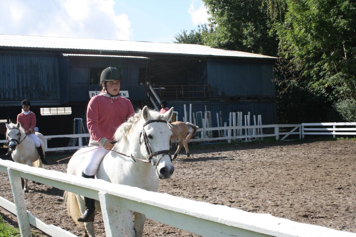 Anden særlig race Luckystar billede 6