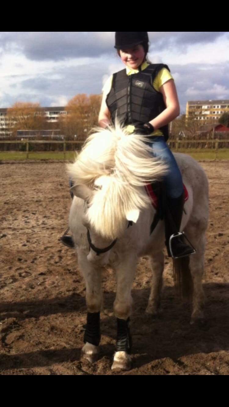 Anden særlig race Luckystar billede 8