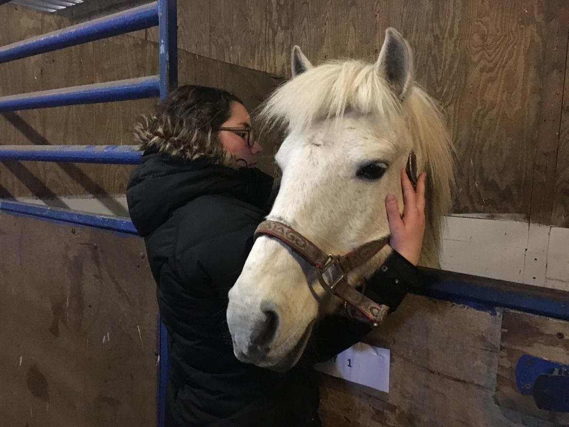Anden særlig race Luckystar billede 10