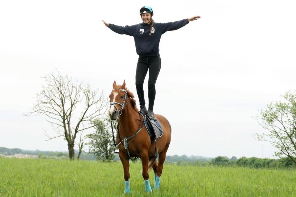 Anden særlig race Forint billede 9