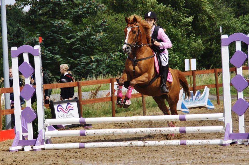 Anden særlig race Forint billede 11