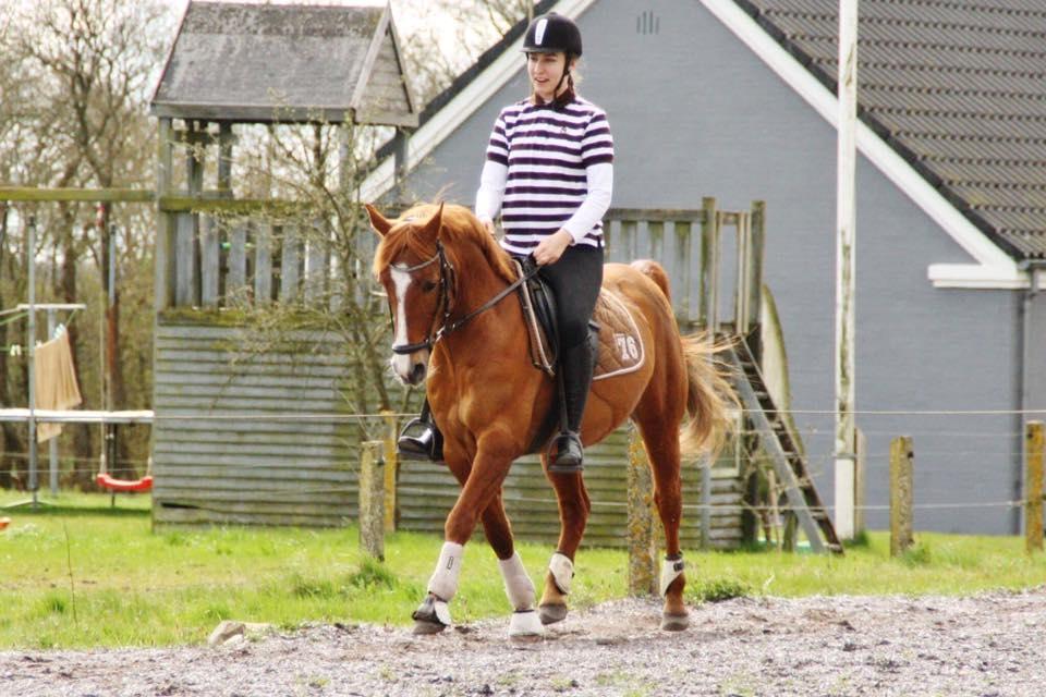 Anden særlig race Forint billede 13