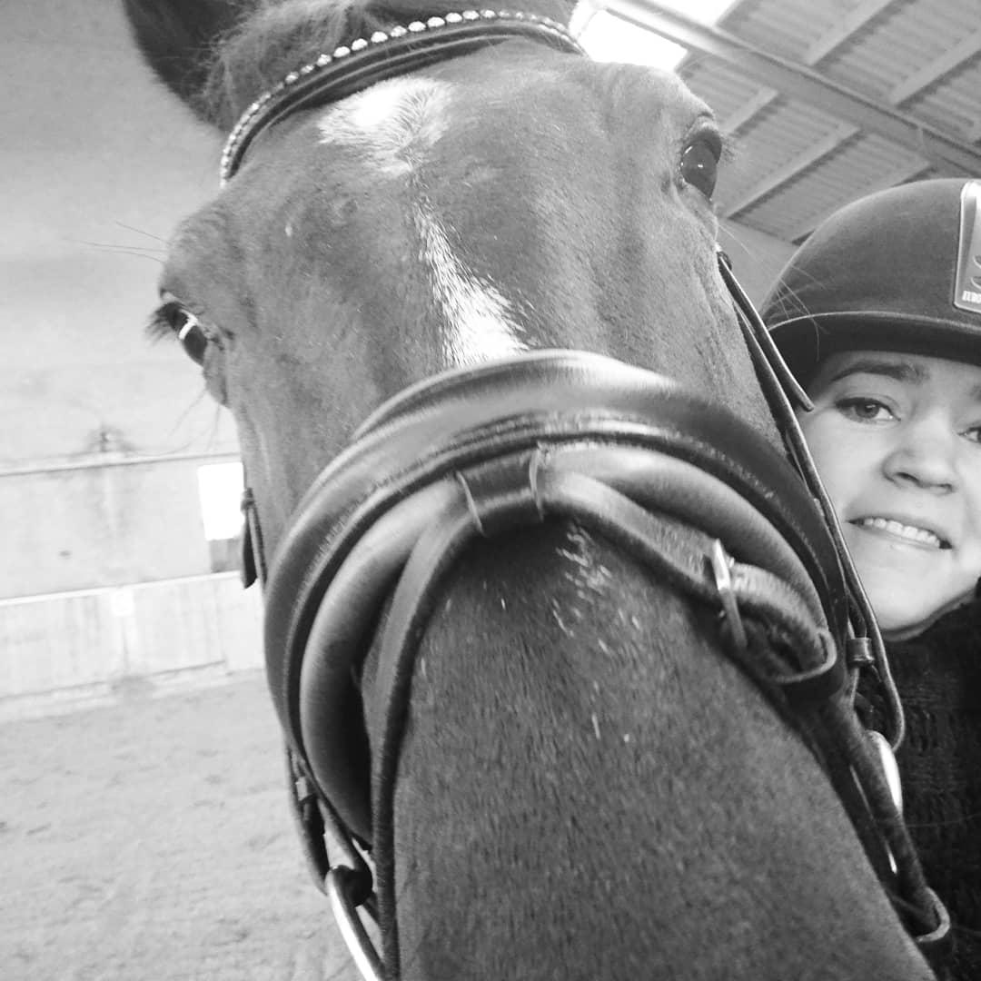 Tysk Varmblod Madita billede 10